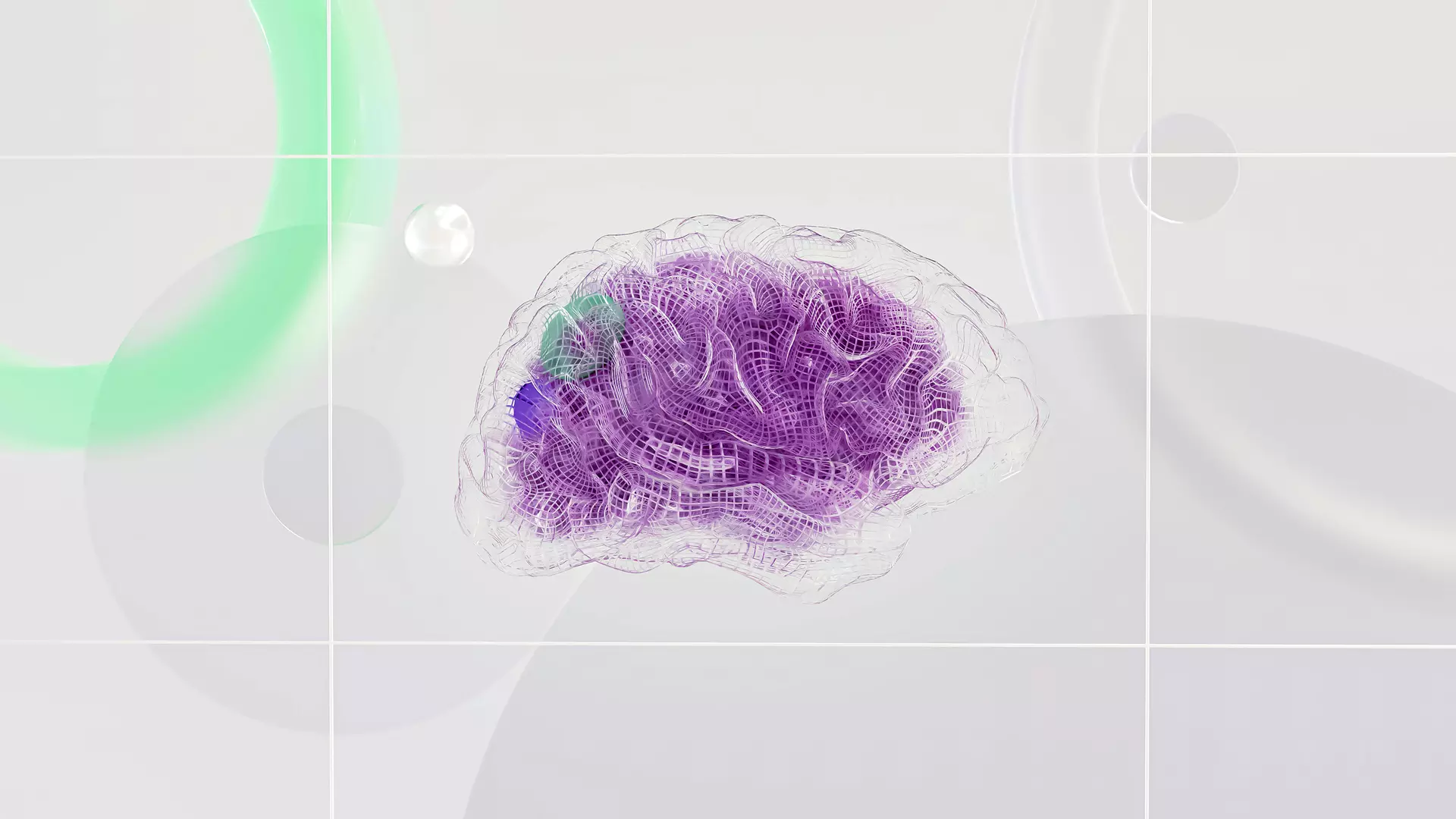 Brain Mapping